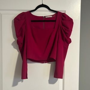 Alice and Olivia cropped top